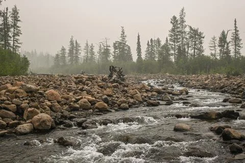 Rapids on a mountain stream. Stock Photos