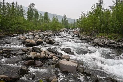 Rapids on a mountain stream. Stock-Fotos