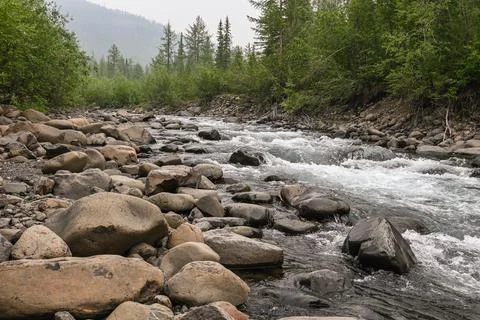 Rapids on a mountain stream. Stock Photos