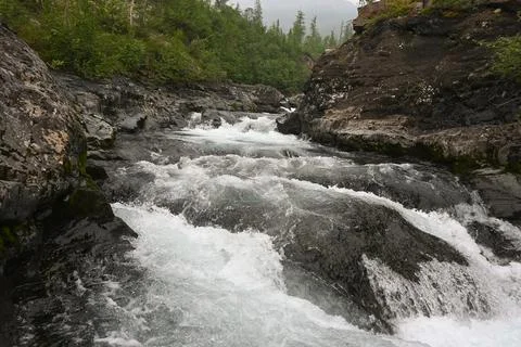 Rapids on a mountain stream. Stock Photos
