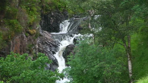 Rapids on a mountains stream in the forest, Scottish Highlands Stock Footage 39990399