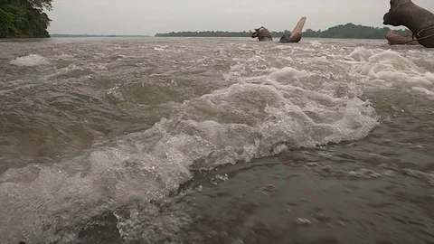Rapids of the Napo River Stock Footage 73162254