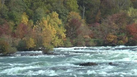 Rapids Niagara Falls Canada Stock Footage 121968713