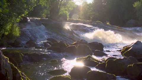 Rapids over rock ledge in backlight Stock Footage 338305290