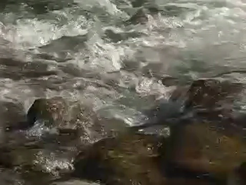 Rapids over rocks-H.264  Stock Footage 378127
