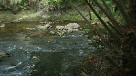 Rapids Pan Stock Footage 533119