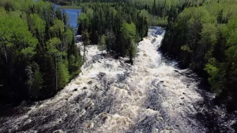 Rapids Pour Downriver as Drone Pans up to Vista of Untouched Wilderness Stock Footage 201483060