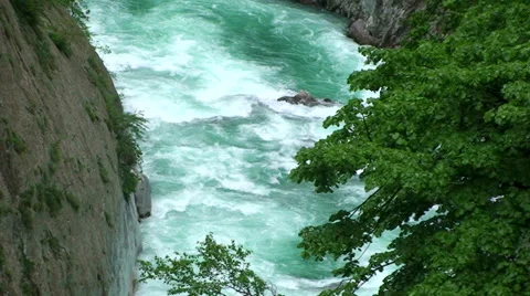 Rapids on River Canyon behind tree branches Stock Footage 33635518