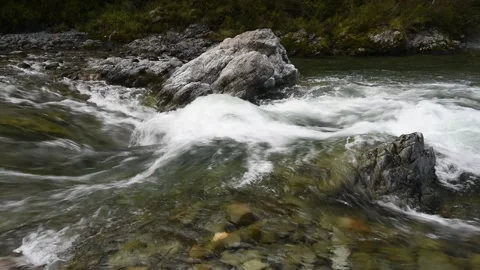 Rapids in a river flowing over rocks and through forest. Video stock 146989993