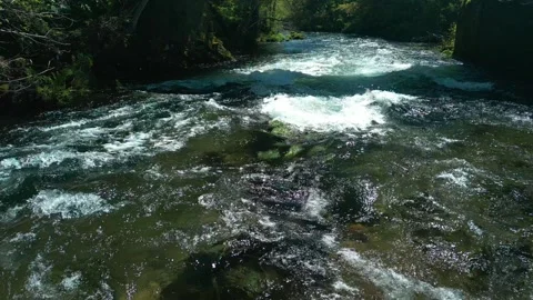 Rapids Of River Lerez During Sunny Day Near. Pullback Shot Stock Footage 311575051