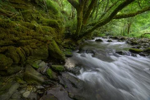 Rapids of a River pass by Old Stone Walls and Ancient Trees Stock Photos