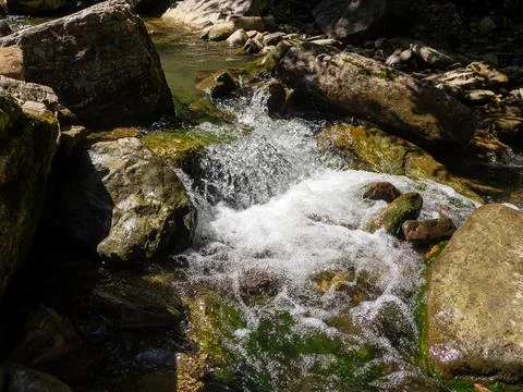 The rapids on the river Stock Photos