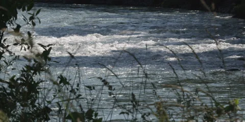 Rapids in a river seen through waving grass along the bank Stock Footage 59528730