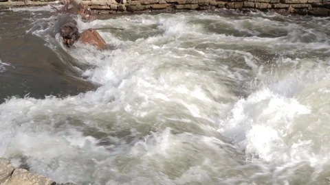Rapids slow motion 2 Stock Footage 79033583