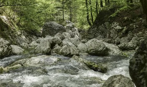 Rapids in small river between and rocks in a forest Stock Photos