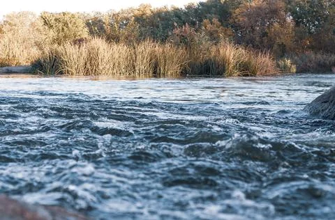 Rapids small river, strong current water flowing among stones, beautiful natu Stock Photos