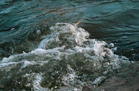 Rapids small river, strong current water flowing among stones, beautiful natu Stock Photos