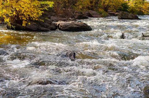 Rapids small river, strong current water flowing among stones, beautiful natu Stock Photos