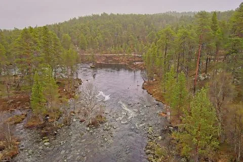 Rapids in spring. Stock Photos