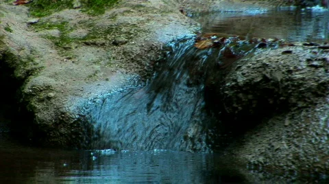 Rapids of a stream in forest. Zoom out Video stock 526257