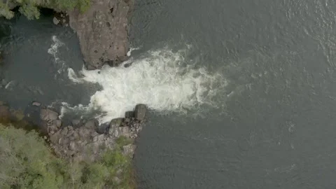 Rapids on sunny afternoon Stock Footage 341003978