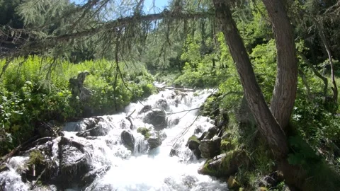 Rapids in the swiss Alps Видео 158675530