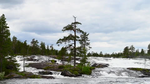 Rapids in Trollforsen in Pite river in Sweden Stock Footage 245820763