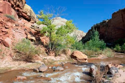 Rapids of virgin river Foto stock