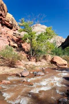 Rapids of the virgin river Stock Photos