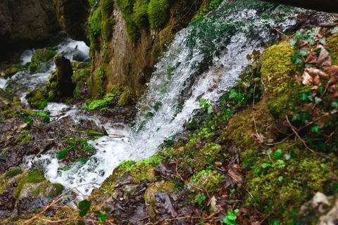 Rapids of the waterfall surrounded by moss and trees Stock Photos