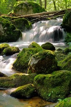 Rapids on the wild river in the forest - water flowing over rocks Stock Photos