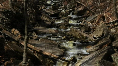 Rapids winding through rocks in forest Stock Footage 671186