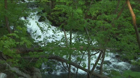 Rapids in the woods Stock Footage 311909