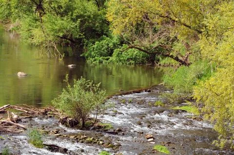 Rapids of the Yantra River Foto stock