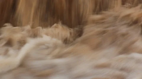The rapids of the the Yellow River water Stock-Footage 39301272