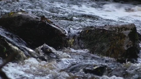 Rapids60fps Stock Footage