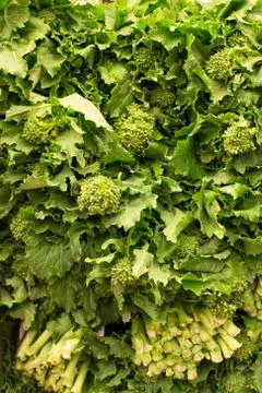Rapini broccoli rabe Stock Photos