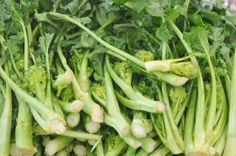 Rapini vegetables Foto stock
