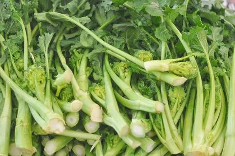 Rapini vegetables Stock Photos