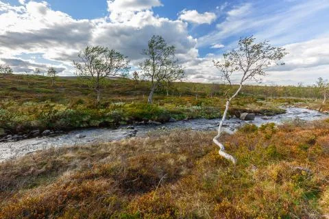 The raprd stream Stock Photos