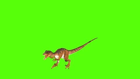 Raptor Attack Green Screen Animation and... | Stock Video | Pond5