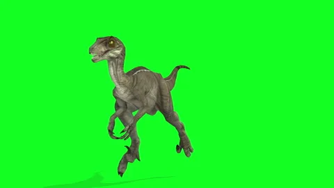 Raptor dinosaur Stock Footage 280370516