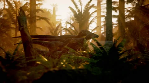 Raptor Dinosaurs walking in forest during Cretaceous Period Stock Footage