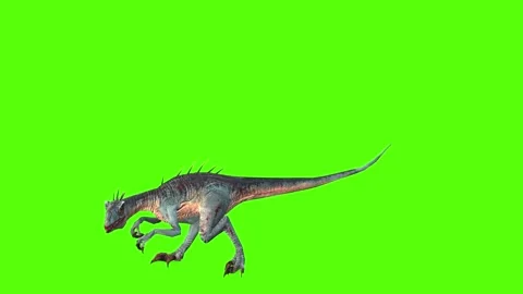 Raptor Eating Green Screen Animation and... | Stock Video | Pond5