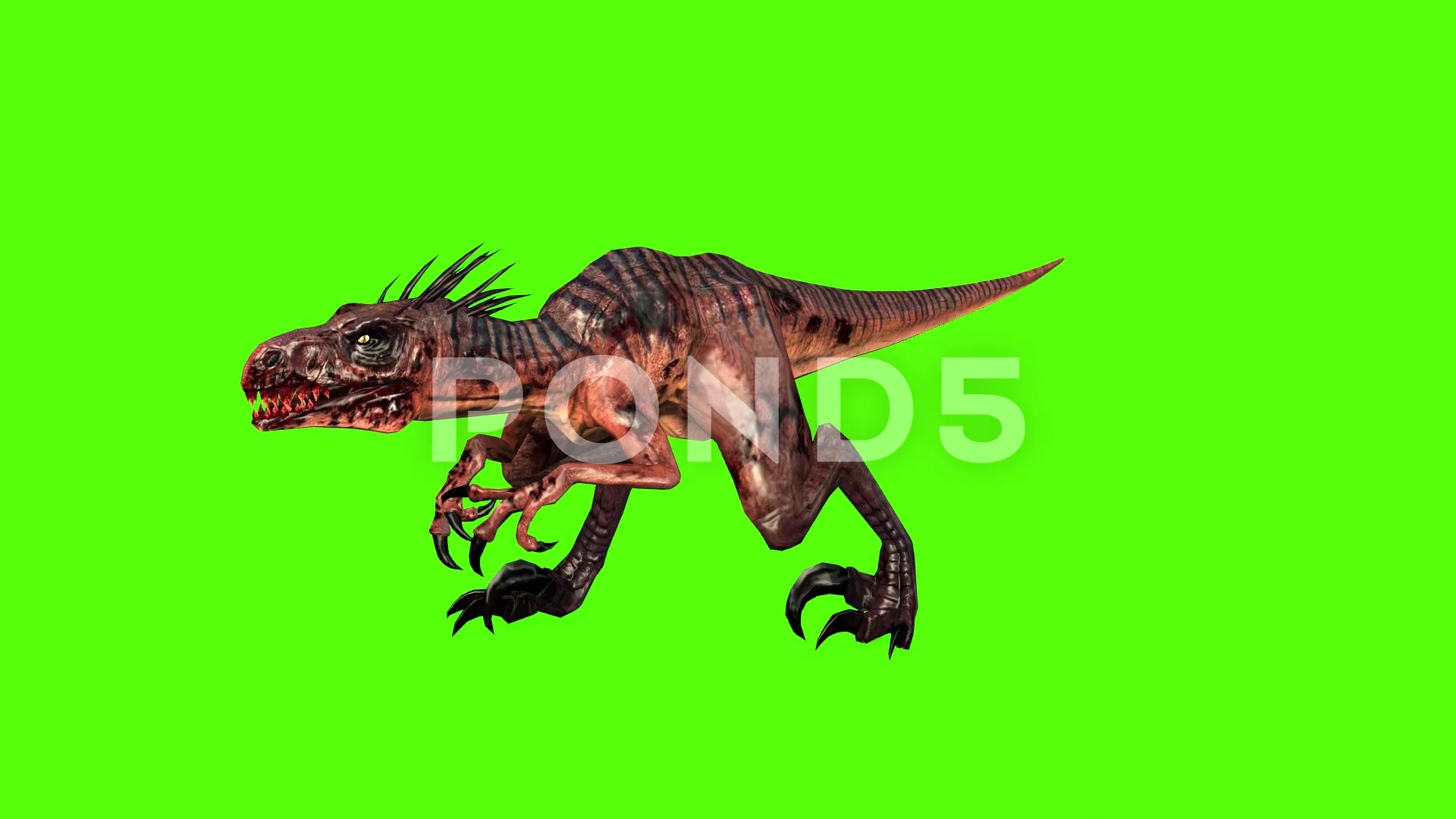 (4K) Velociraptor Running Across Screen Roar 1