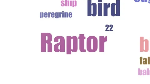 Raptor Wordcloud Animated Isolated Stock Footage 107219292