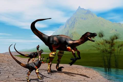 Raptors Stock Illustration