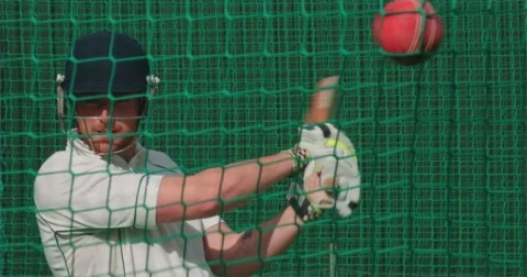 Rapt.tv 10076 Cricket Vídeo Stock 58837591