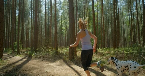 Rapt.Tv Jogging 10031109 Vídeo Stock 101286653