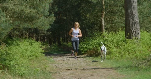 Rapt.Tv Jogging 10031111 Vídeo Stock 101287141